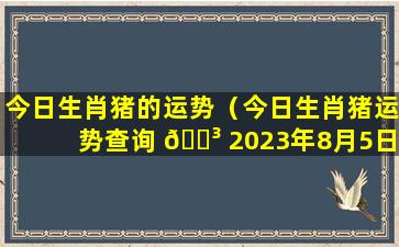 今日生肖猪的运势（今日生肖猪运势查询 🌳 2023年8月5日 🐺 ）
